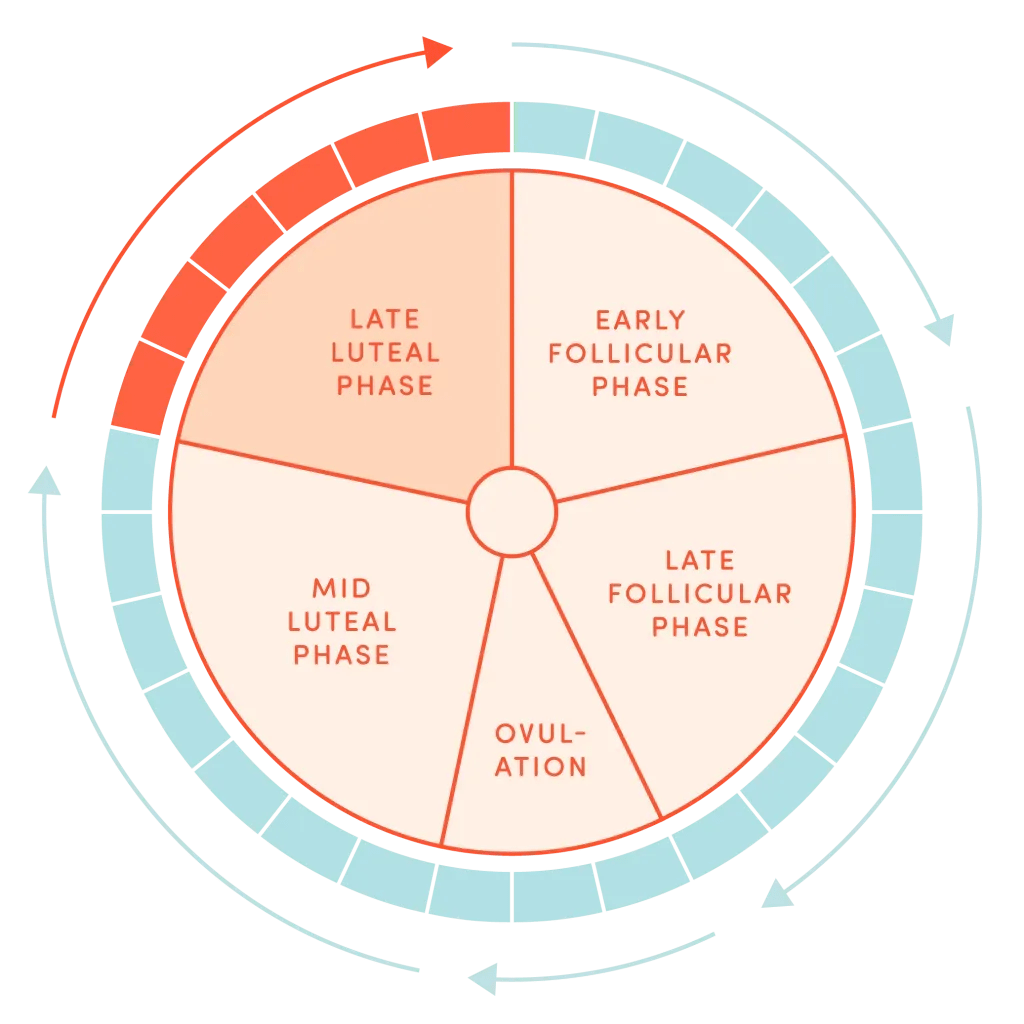 Back Pain Optimal Period