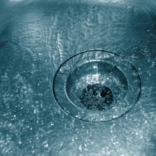 Why Is Water Coming Out Of My Drain? Optimised Plumbing