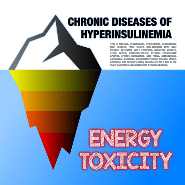 Master Macros for Insulin Resistance for Optimal Health Optimising