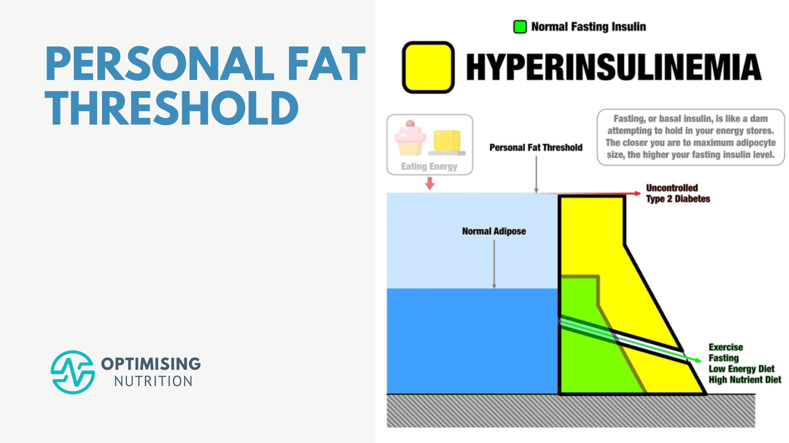 Your Personal Fat Threshold & High Insulin Levels Optimising Nutrition