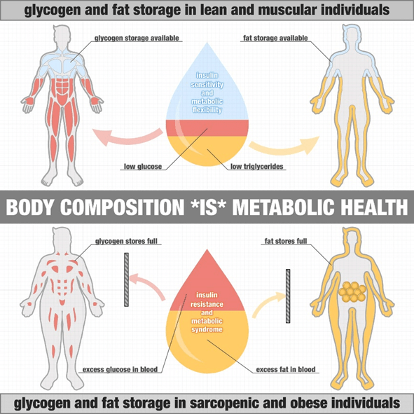 What Are Normal, Healthy, NonDiabetic Blood Sugar Levels? Optimising Nutrition