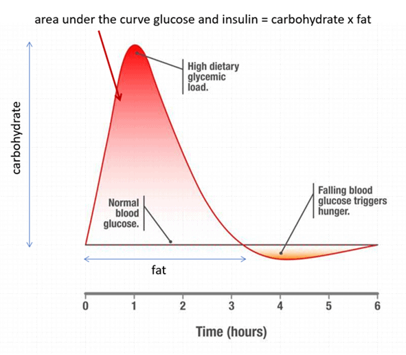 High Protein vs High Fat What's Ideal for YOU? Optimising Nutrition
