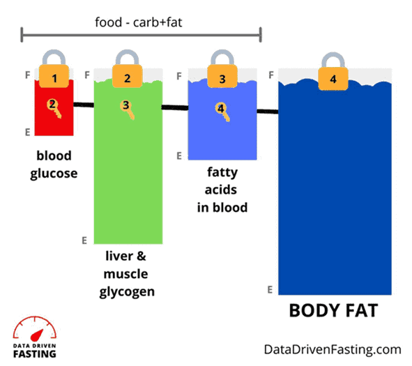 Glucose Spikes Your Guide to Healthy Blood Sugars Optimising Nutrition
