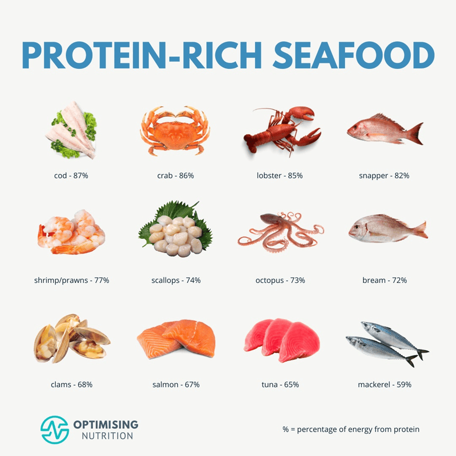 Protein Rich Foods for High Satiety Weight Loss Optimising Nutrition