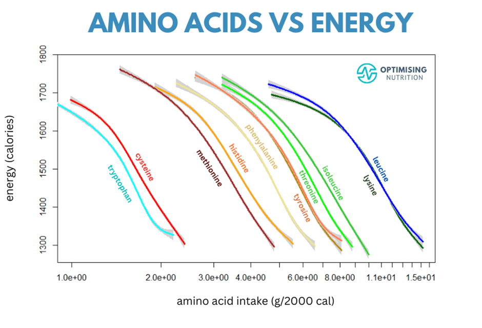 Amino Acids Food Sources, Types & Functions Optimising Nutrition