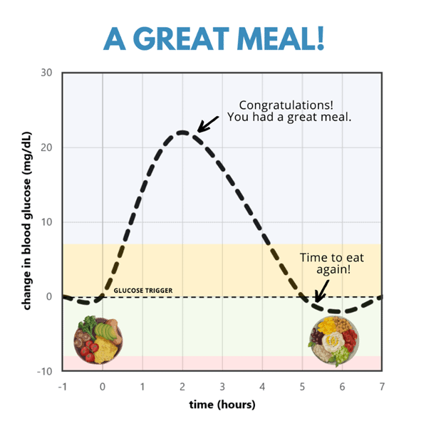 Blood Sugar and Hunger Decoding the Intimate Relationship Optimising