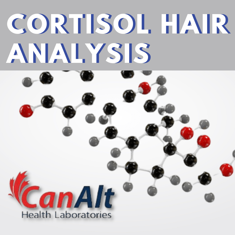 Cortisol Hair Analysis OptimizeCoaching