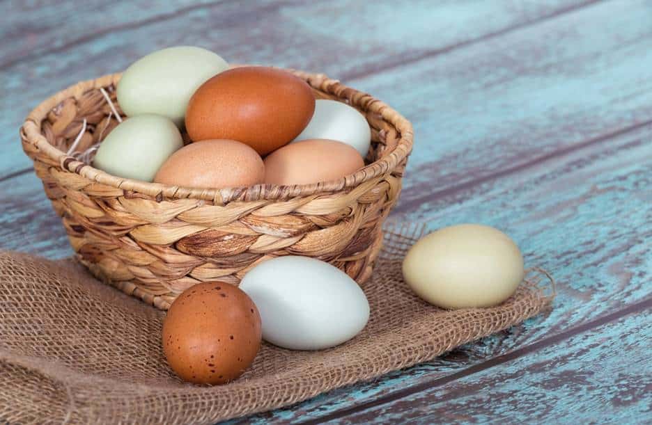 15 Foods High in Iodine You Should Include in Your Diet OptingHealth