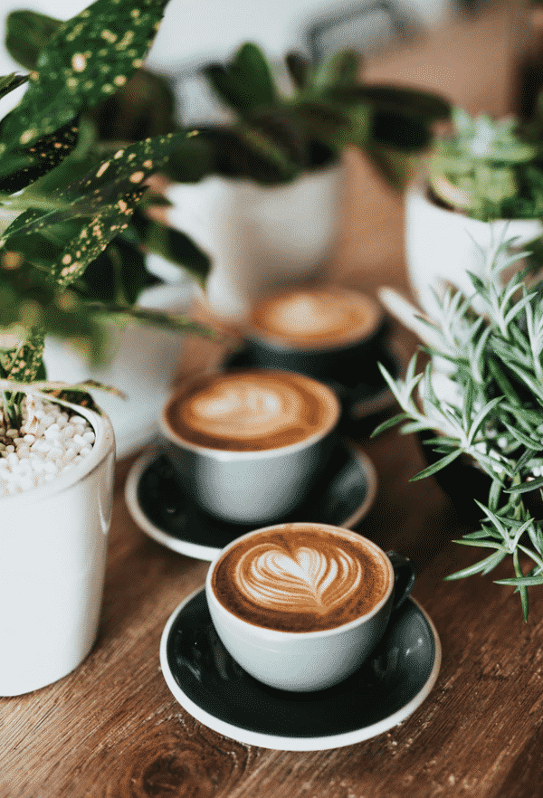 What Are The Best Coffee Stocks In 2021 And Why?