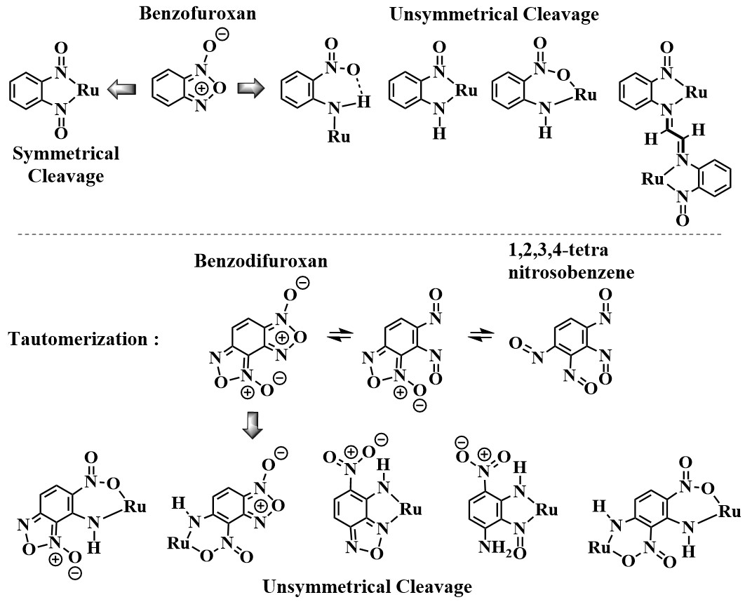 Metalligand cooperativity driven nonspectator feature of nitrosoarene