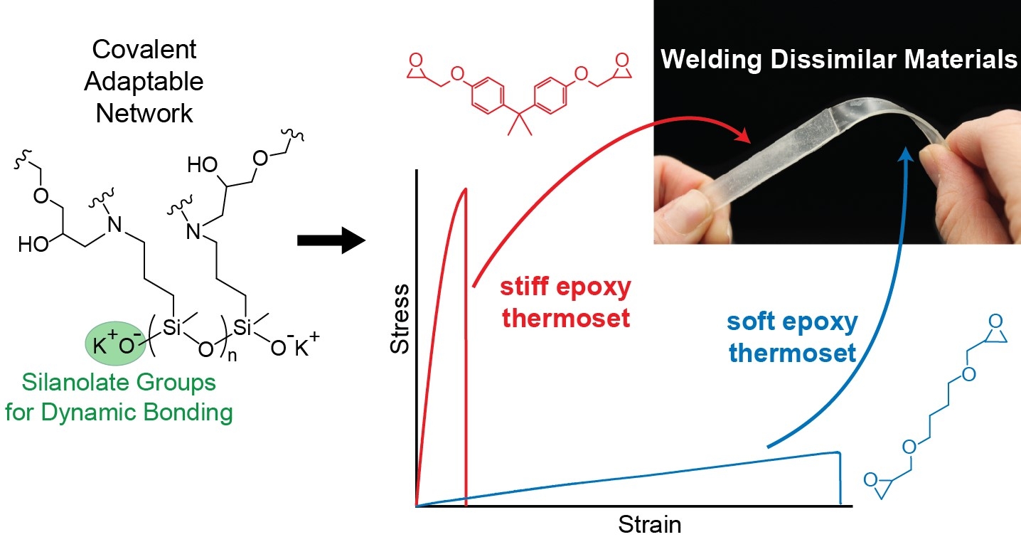 Polymer welding of soft and stiff epoxy thermosets via silanolates