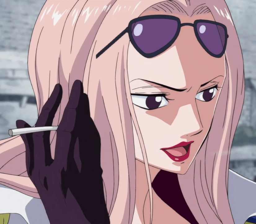 DateiHina Face.png OPwiki Das Wiki für One Piece