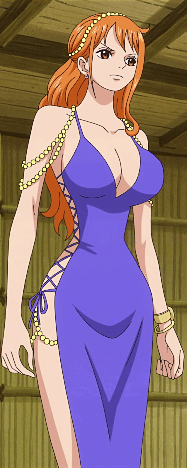 DateiNami Zou.png OPwiki Das Wiki für One Piece