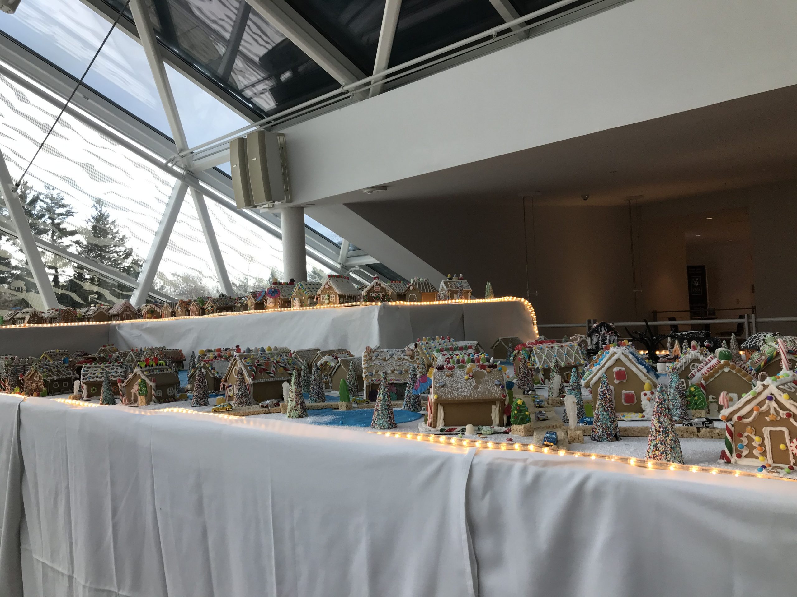 Second Annual Decorate to Donate Raises Money to End Hunger The New