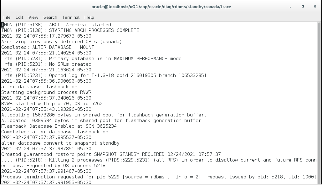 Converting a physical standby database into snapshot standby database