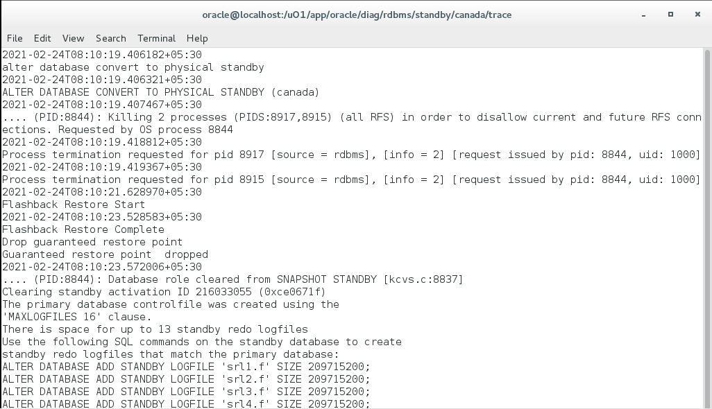Converting a physical standby database into snapshot standby database