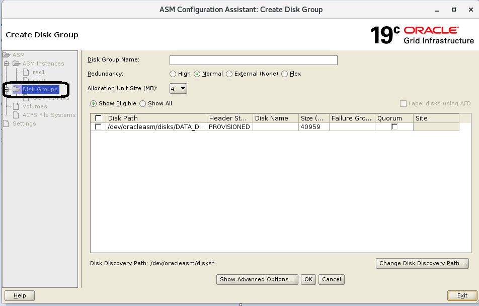 Step by Step Create ASM Diskgroup For 2 Node Oracle 19c Rac Database