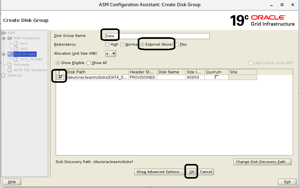 Step by Step Create ASM Diskgroup For 2 Node Oracle 19c Rac Database