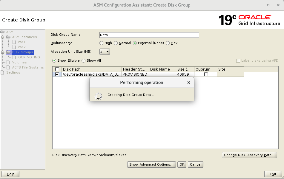 Step by Step Create ASM Diskgroup For 2 Node Oracle 19c Rac Database
