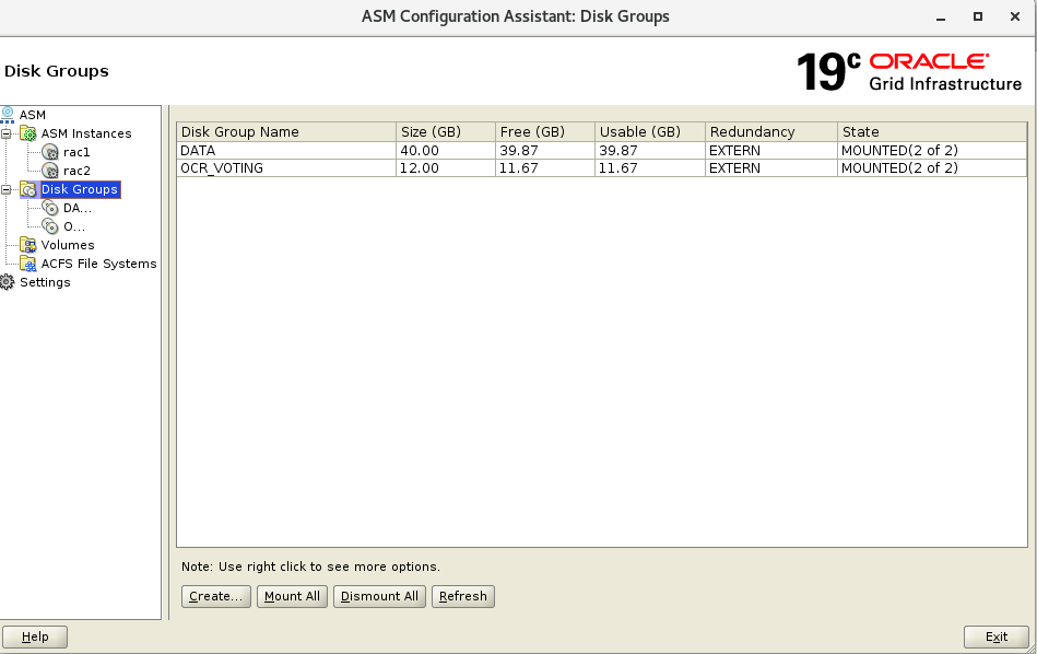 Step by Step Create ASM Diskgroup For 2 Node Oracle 19c Rac Database
