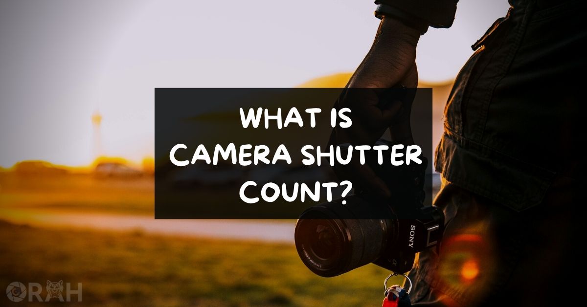 How To Check Your Camera's Shutter Actuation Count? - Orah Co