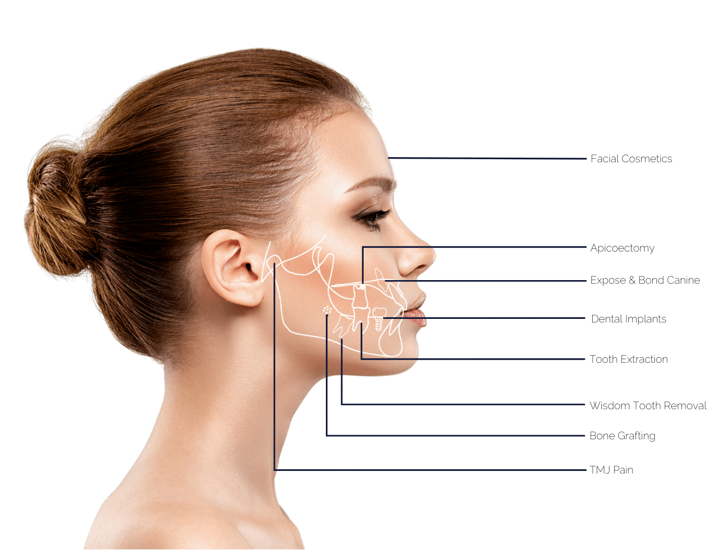 Oral Surgeon in Forest Hills and Jamaica, NY The Oral & Maxillofacial