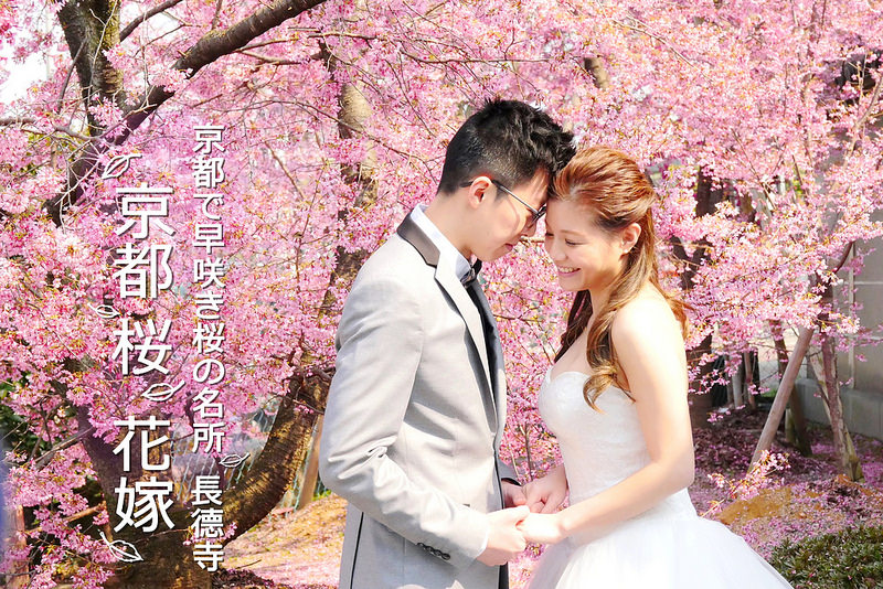 【京都櫻花】長德寺 鴨川公園│出町柳駅：2017京都早開櫻花景點 滿天落櫻飛雪的浪漫！離車站最近的賞櫻名所 建議三月底河津櫻滿開花期最適合前往拍攝婚紗及觀賞！