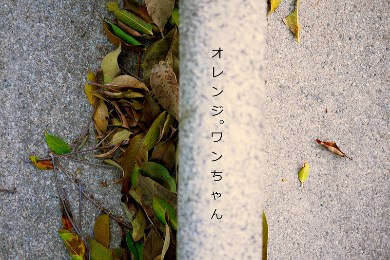 【生活 腳印】家-溜滑梯的記憶。