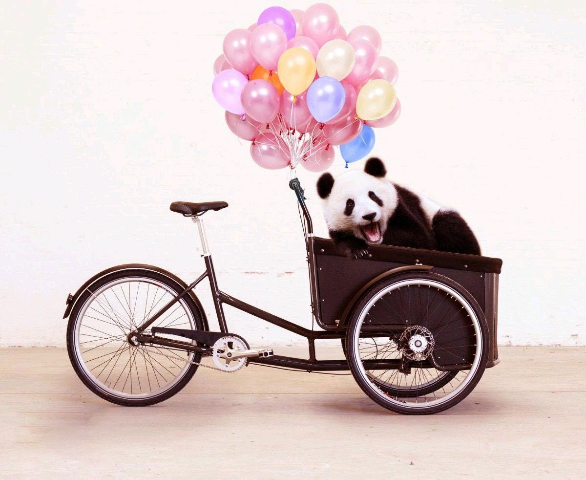 Issue 11 Orange Blossom Review