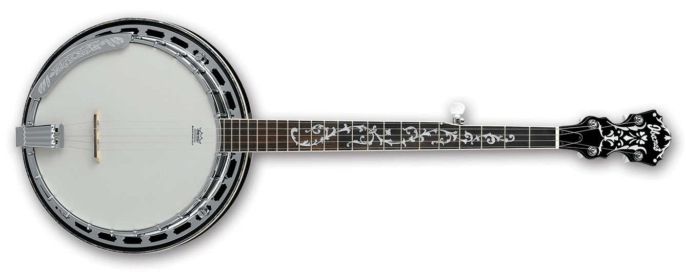 Banjo Orange County Music Repair