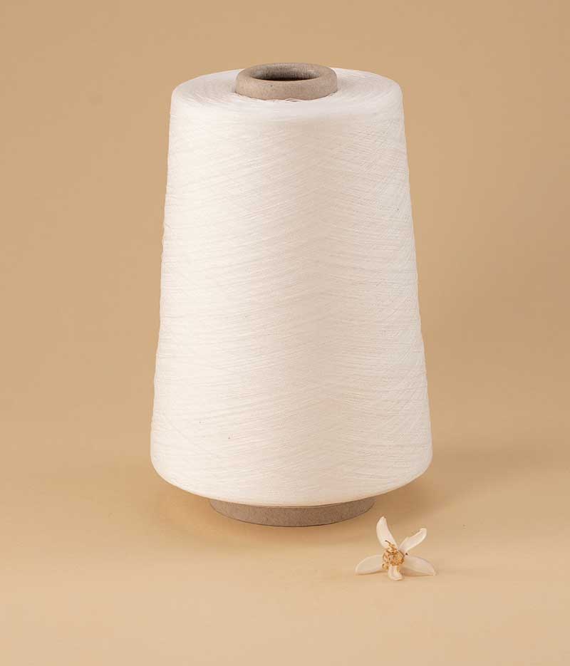 Process • Orange Fiber