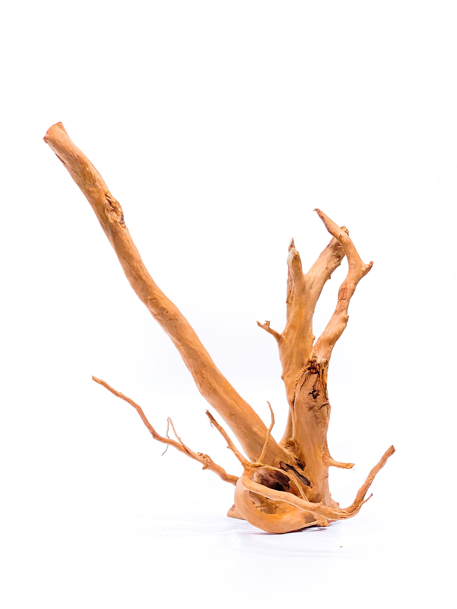 Aquarium / terrarium wood Red moor Big OrangeFrog.store