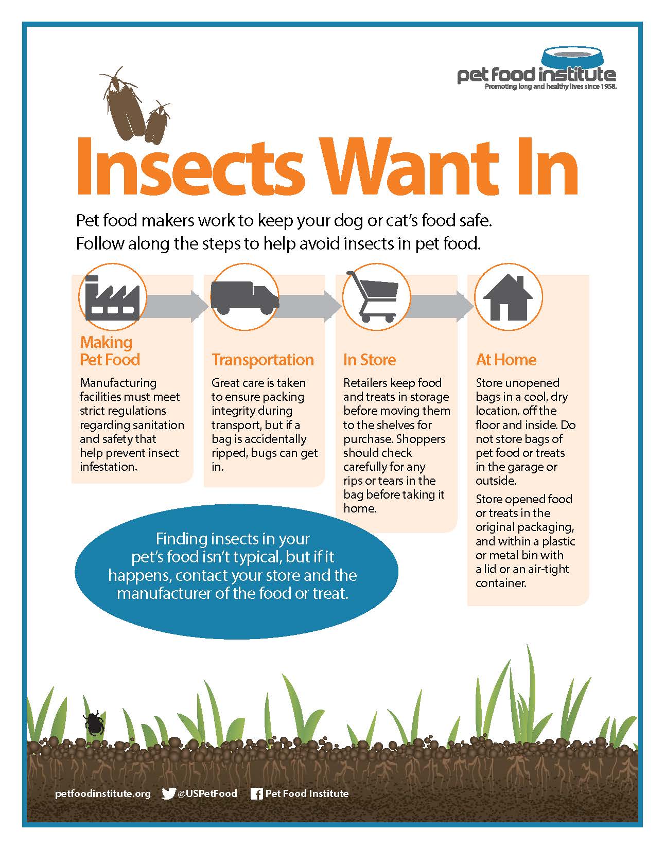 How to Keep Insects Away from Pet Bowls Orange Magazine