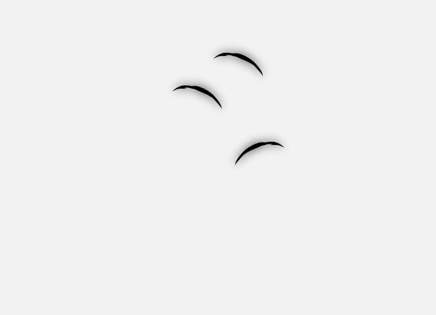 Sudden Raid Effect Orange Mushroom's Blog