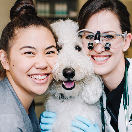 Opening Doors for the Best Care for Your Pets OrangeRoc