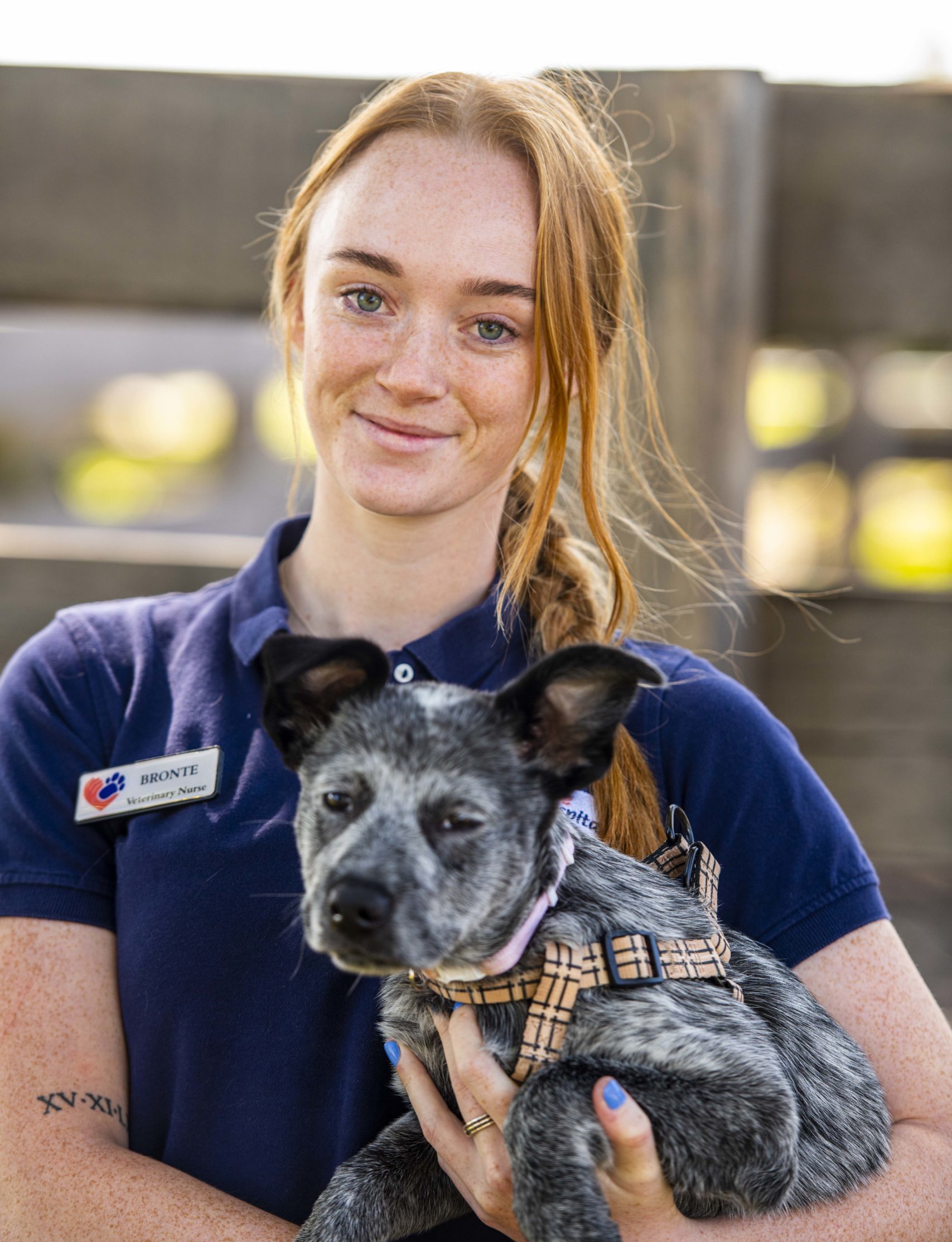 KYL_1326 Orange Vet Hospital