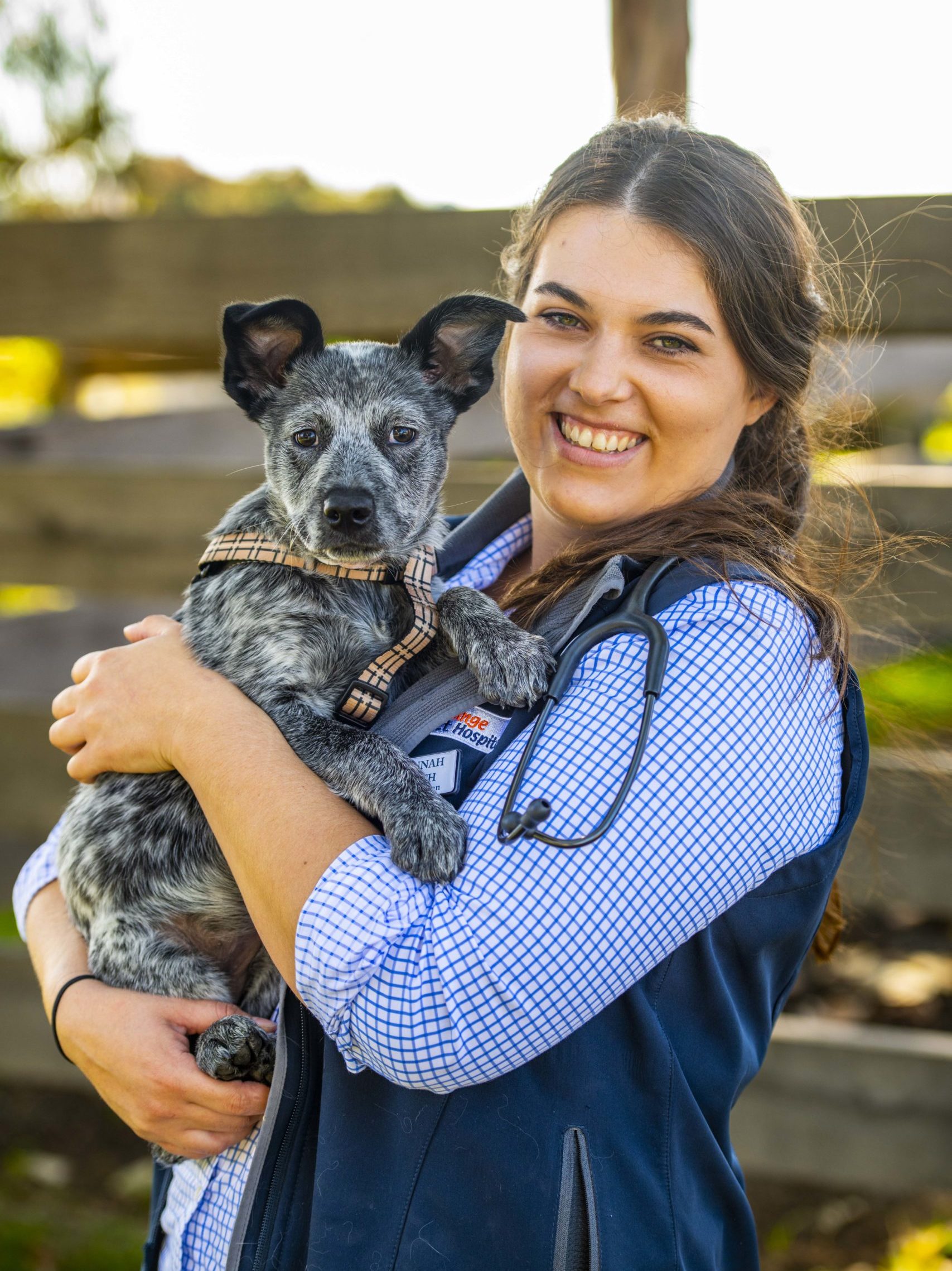 Hannah Orange Vet Hospital