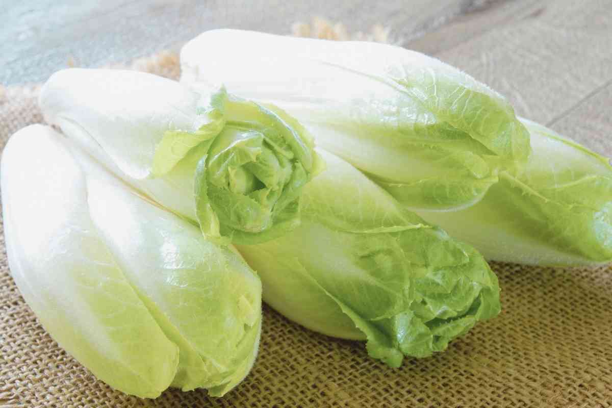 11 Best Substitutes For Arugula