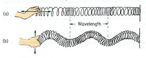 Slinky Wave ScienceRocks!