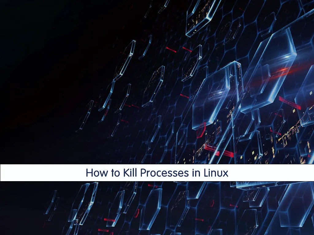 Kill a Process in Linux from Terminal with examples OrcaCore