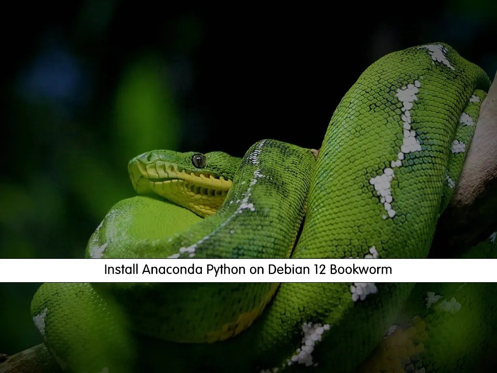 Install Anaconda Python on Debian 12 Bookworm OrcaCore