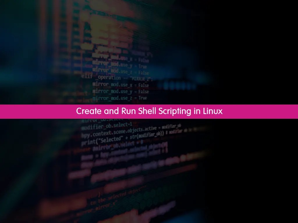 Create and Run Shell Scripting in Linux with Examples OrcaCore