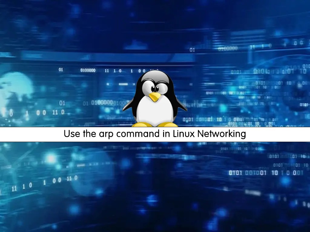 Quickly Use arp command in Linux Networking in 2 Steps