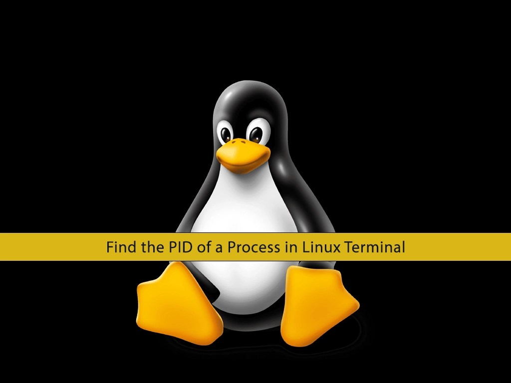 3 Easy Methods to Find the PID of a Process in Linux Terminal