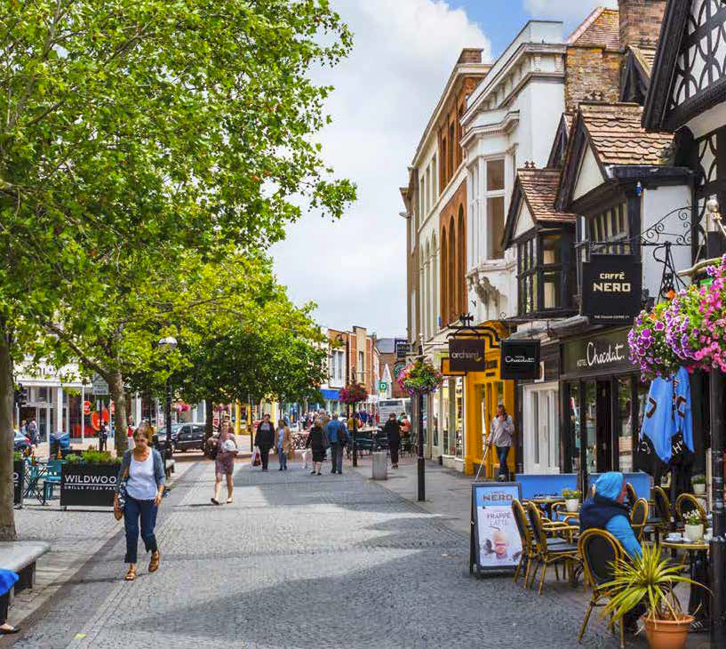 to Orchard Grove to Orchard Grove