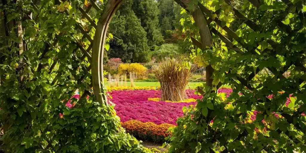 YearRound Saluda NC Events & Festivities Guide