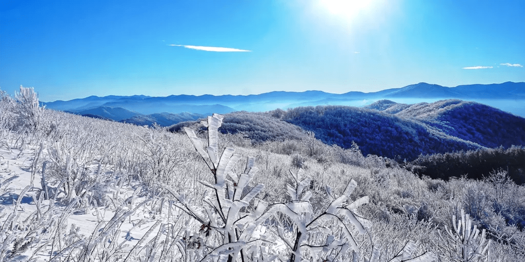 YearRound Saluda NC Events & Festivities Guide