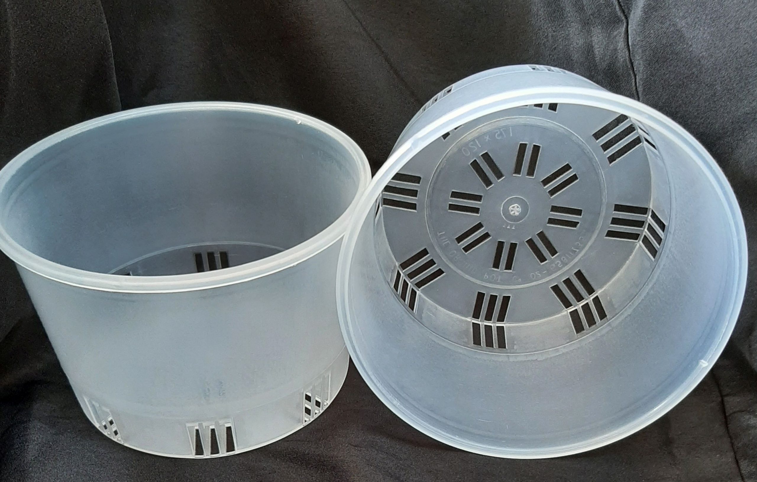 175mm x 120mm Phalaenopsis Clear Pots Pack of 10 Orchid