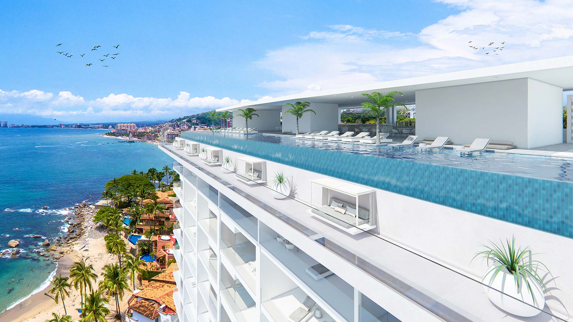 Construction Updates Orchid