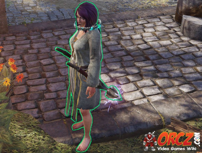 Divinity Original Sin 2 Lohse Companion The Video Games Wiki